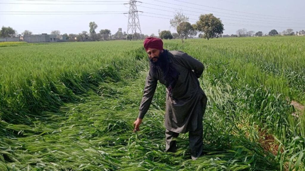 pm kisan yojana status check by aadhar card