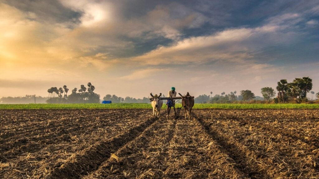 pm kisan beneficiary status mobile number